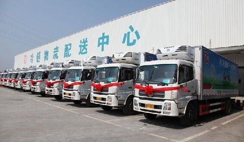 成都到石家莊私家車運(yùn)輸公司，提供免費(fèi)上門取車服務(wù)