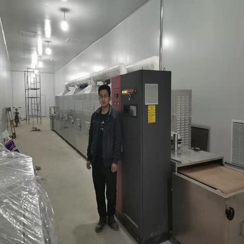 亞麻籽微波熟化殺菌設備 時間短、烘烤均勻的環保科技新突破